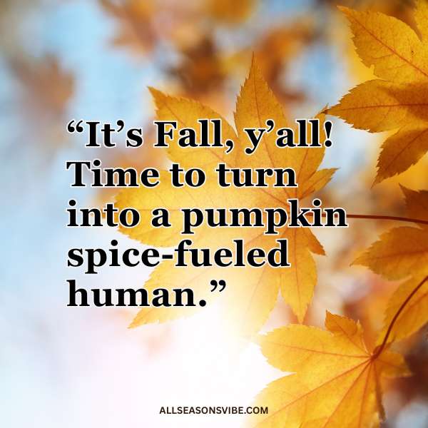 funny first day of fall quotes
