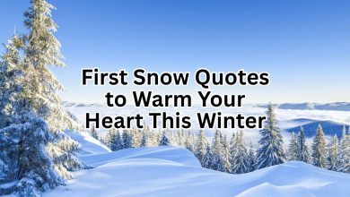 First Snow Quotes to Warm Your Heart This Winter