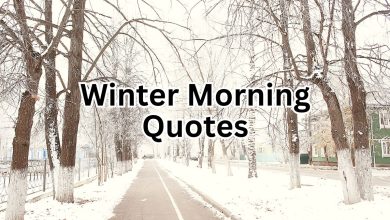 Winter Morning Quotes