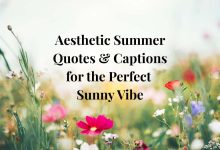 Aesthetic Summer Quotes & Captions for the Perfect Sunny Vibe