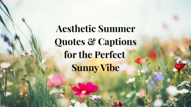 Aesthetic Summer Quotes & Captions for the Perfect Sunny Vibe