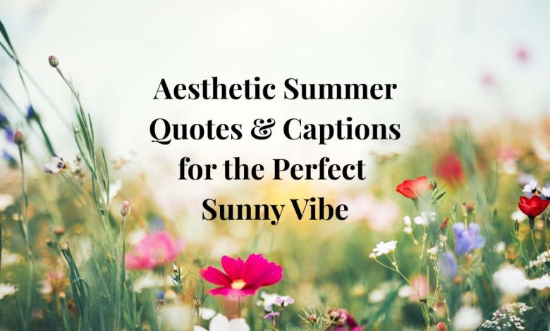Aesthetic Summer Quotes & Captions for the Perfect Sunny Vibe