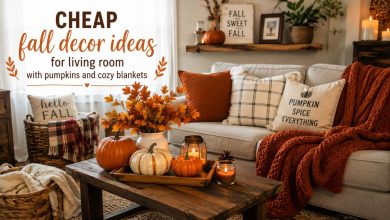 Cheap fall decor ideas for living room with pumpkins and cozy blankets